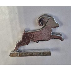 Sterrenbeeld steenbok