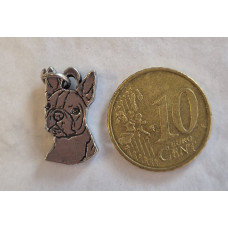 Bedel Boston terrier