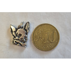 Bedel Chihuahua korthaar