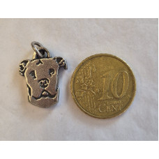 Bedel Dogo Argentino