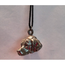 Golden retriever ketting