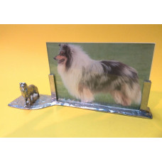 Collie rough small photo frame