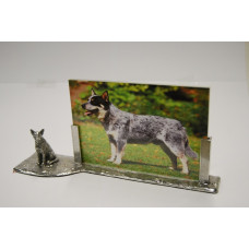 Photo frame Australian cattledog 