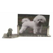 Picture frame bichon frize 