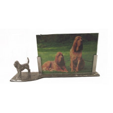 Photo frame bloodhound 