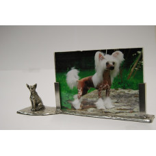 Photo frame chinese hairless dog