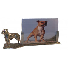 Picture frame English Staffordshire Terrier