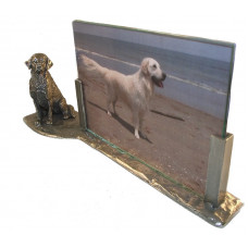 Picture frame golden retriever 