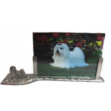 Picture frame maltese 