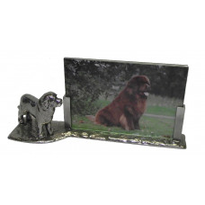 Photo frame newfoundlander 