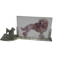 Picture frame poodle