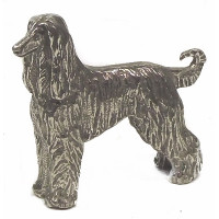 Afghan greyhound