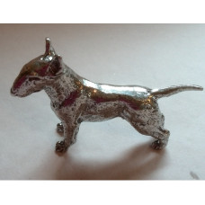 bull terrier miniature