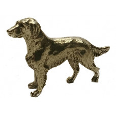 Flatcoated retriever