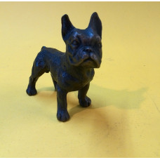 French bulldog female bronzed