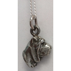 Sharpei ketting