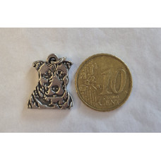 Bedel Staffordshire bulterrier