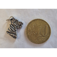 Bedel Teckel Ruwhaar