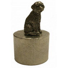 Urn Portugese waterhond